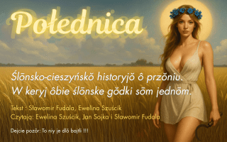 Połednica