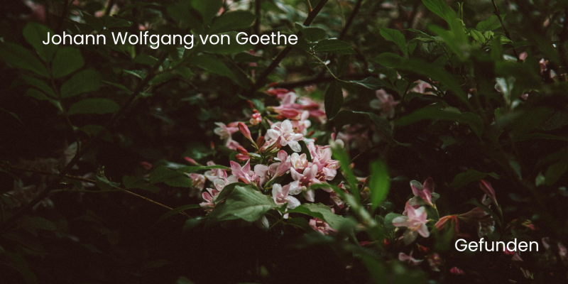 Gefunden - Johann Wolfgang von Goethe