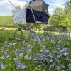 Uciekosz czasie - Piosenka do tekstu Eweliny Szuścik na Dzień Matki